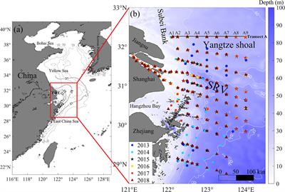 Formation and Breakdown of an Offshore Summer Cold-Water Zone and Its Effect on Phytoplankton